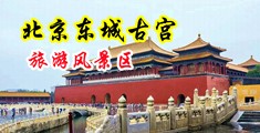 大屁股骚逼插屁眼操逼视频免费看中国北京-东城古宫旅游风景区